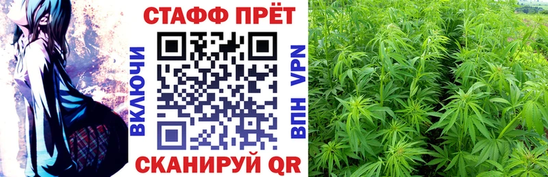 Виды наркотиков купить Сертолово Cocaine Метамфетамин Каннабис Гашиш