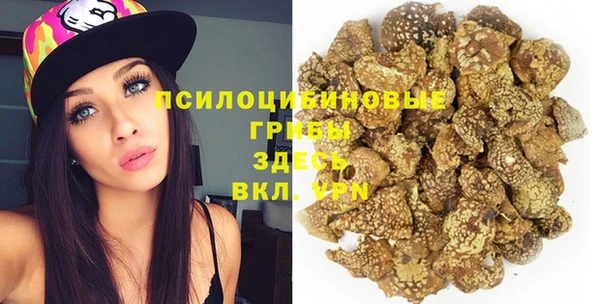 крисы Медногорск
