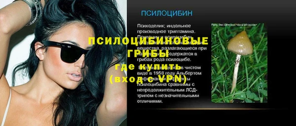 крисы Медногорск
