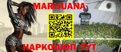 индика Заволжье