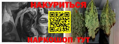 индика Заволжье