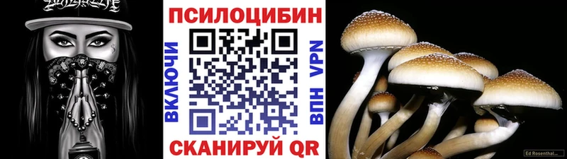 ОМГ ОМГ маркетплейс  купить наркоту  Сертолово  Галлюциногенные грибы MAGIC MUSHROOMS 