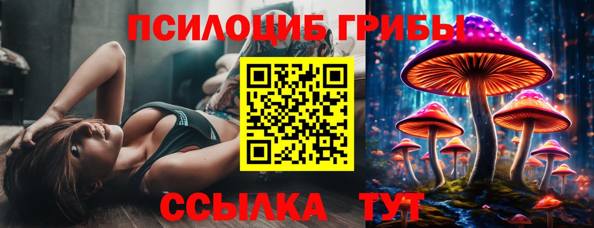 Сертолово  Галлюциногенные грибы Cubensis  Вход с VPN 