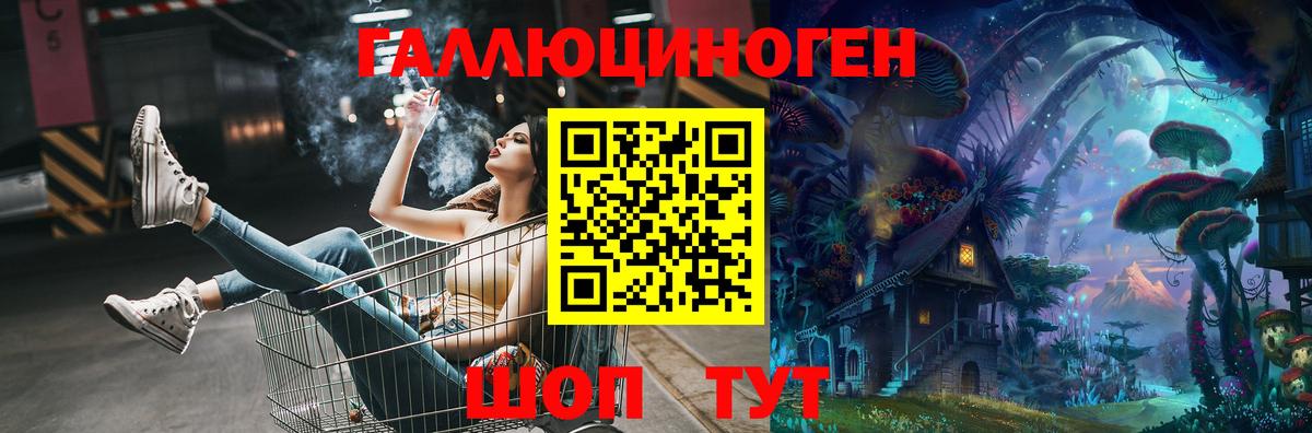 Псилоцибиновые грибы Psilocybe Сертолово