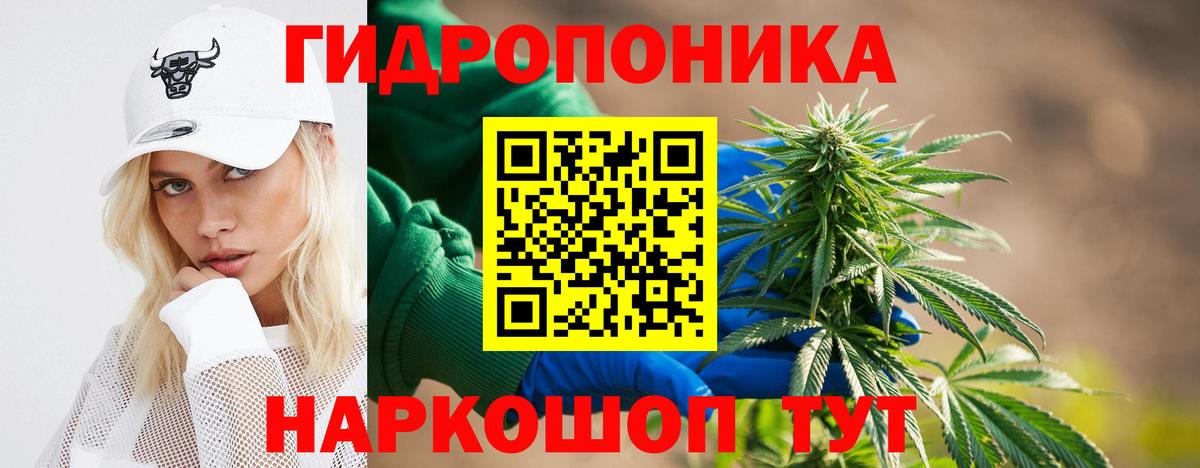Бошки Шишки планчик  Вход с VPN  Каннабис VHQ  Бошки марихуана индика  Сертолово 